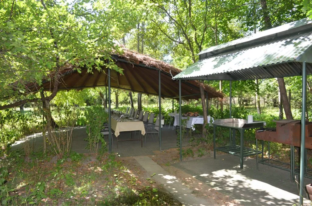 Уличное кафе на территории ВЕ Art Resort в окружении зеленых деревьев и уютных тентов. Отличное место для отдыха на природе и наслаждения свежим воздухом.