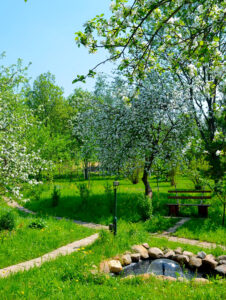 Где можно отдохнуть с собакой в Подмосковье