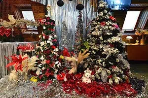 Новый год в Подмосковье с программой