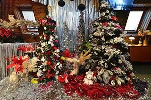 Отметить новый год в Подмосковье