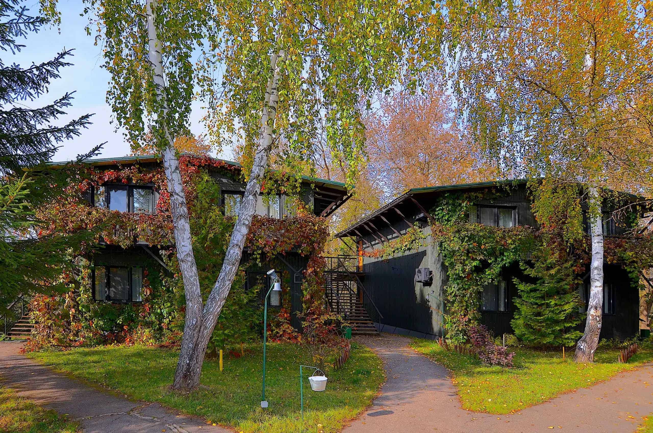 Домики в лесу с баней отдых Подмосковье