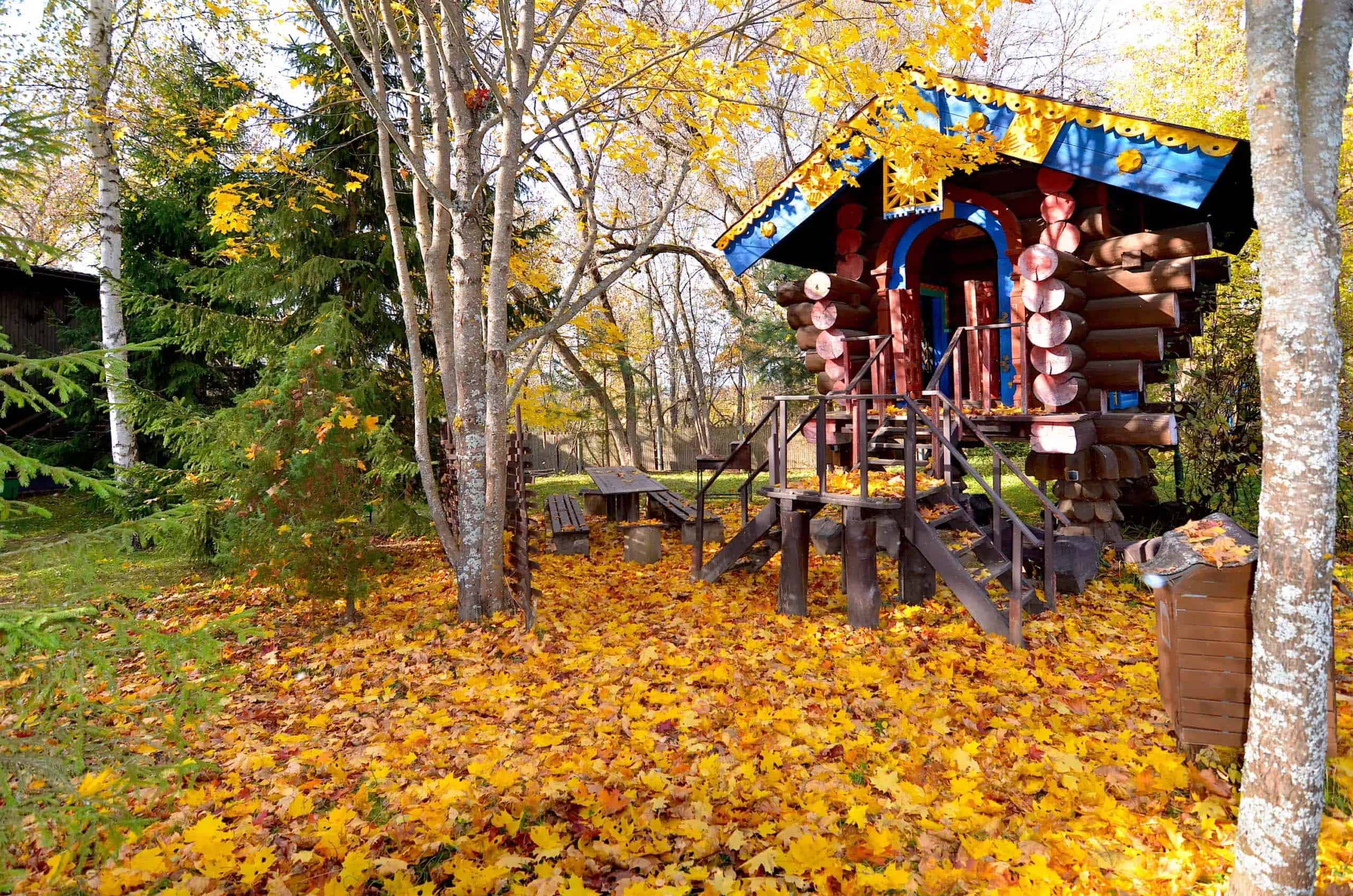 Отдых в Московской области в домиках