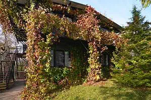 Отдых в Московской области в домиках