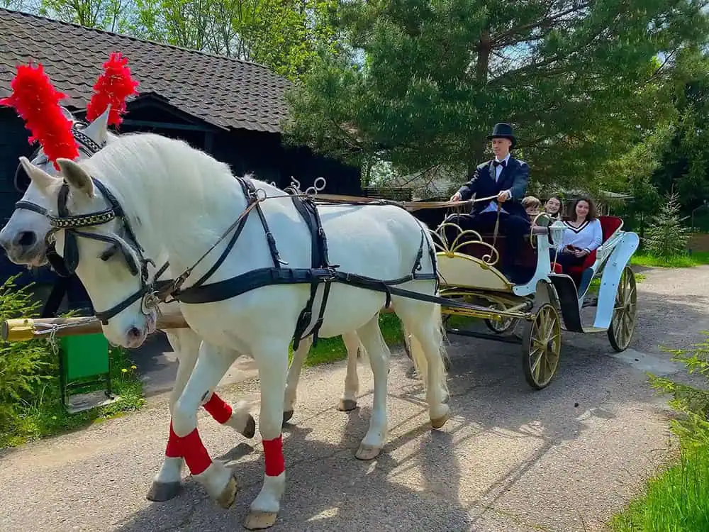 Романтический отдых в Подмосковье