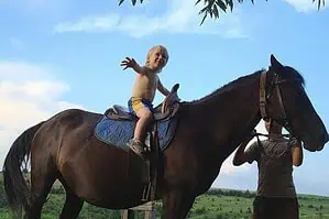 Провести выходные за городом вересорт с уютным размещением Провести выходные за городом вересорт с уютным размещением